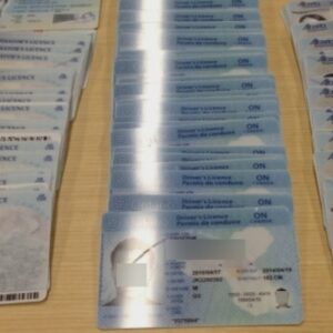 Buy Alberta Driver Licence